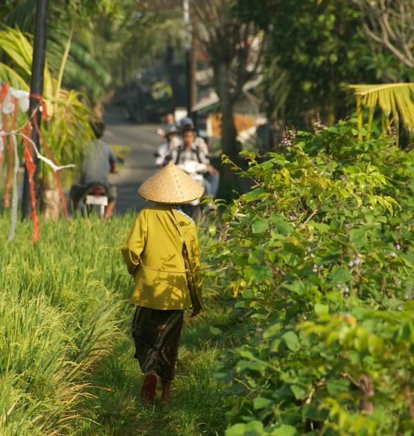 Villa adagian Umalas bali