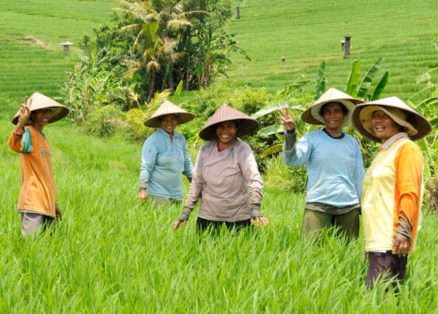 Bulung_Daya_farmers