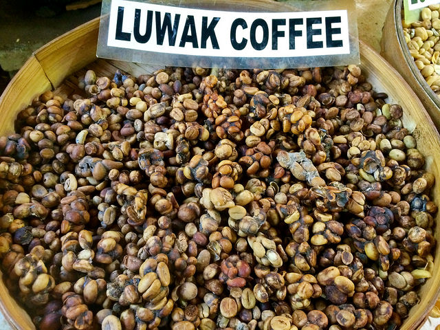 Luwak Coffee | © Sarah_Ackerman/Flickr